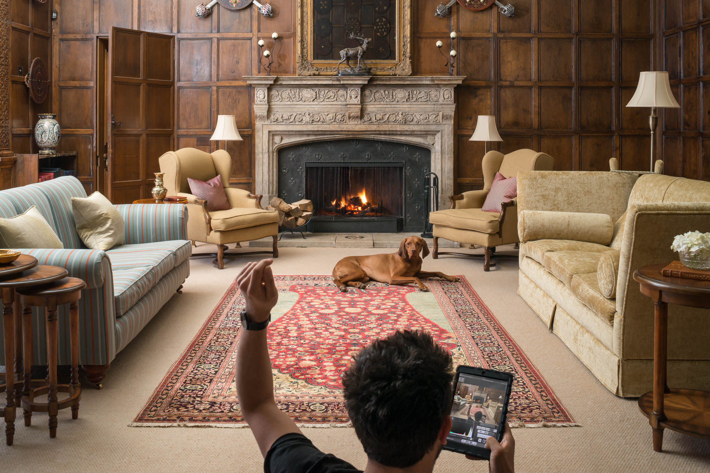 Behind the scenes shot of photographer shooting dog sitting in drawing room beside fire