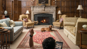Small feature image of phtogorapher behind the scenes shooting dog sitting in drawing room beside fire